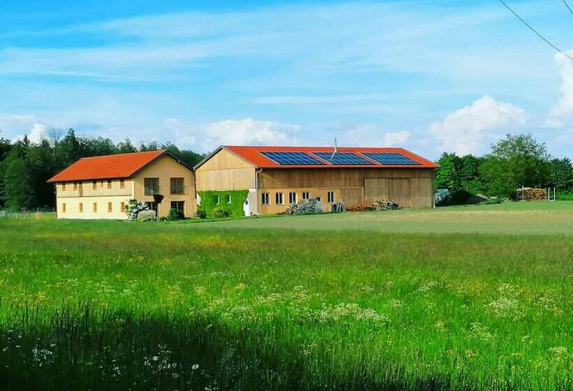 Niedergerner Alpaka Ranch