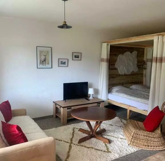 Appartement 1,5 Pièce