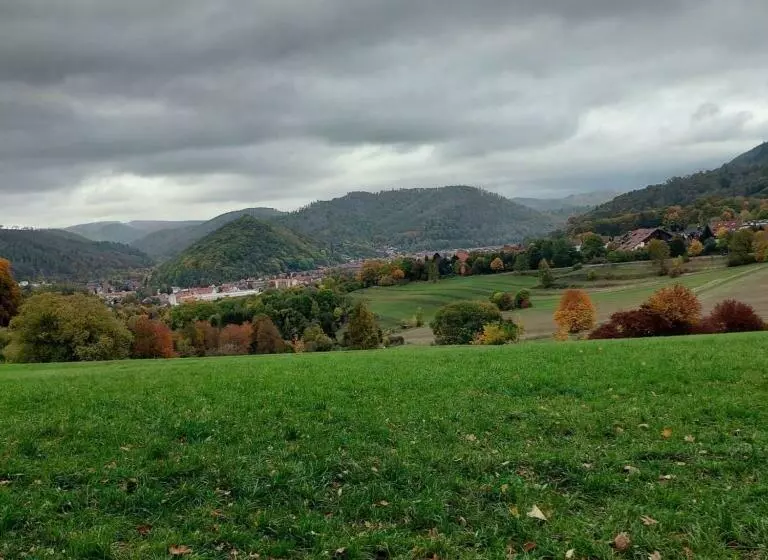 Ok Ferienwohnung Bad Lauterberg