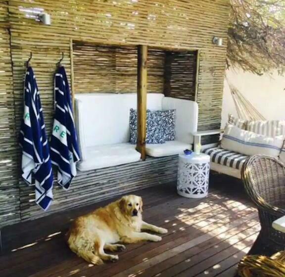 Beach House Mosselrivier