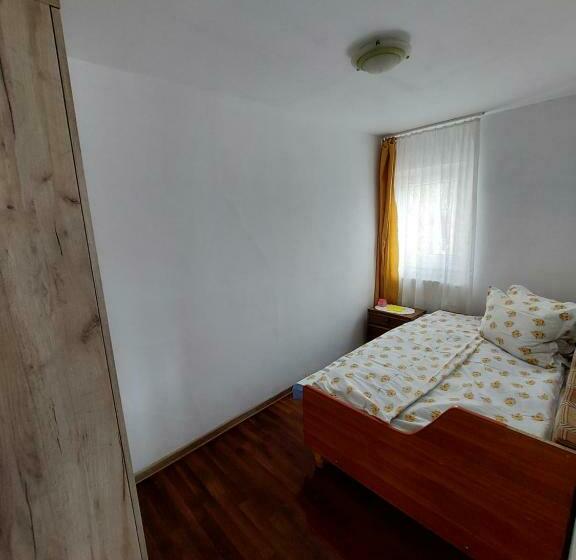 Cabana Casa Lu Baciu