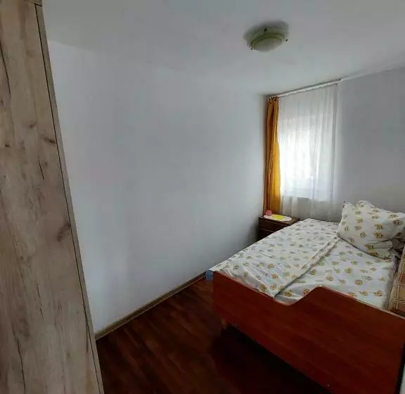 Cabana Casa Lu Baciu