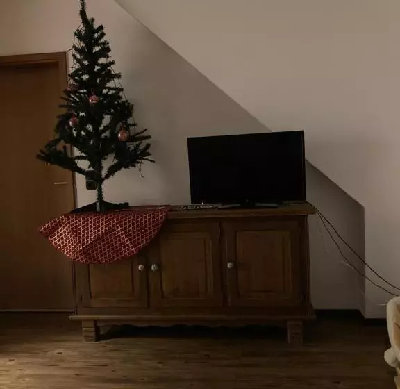 Schönewohnung Mit Eigenem Gsrten Und Eingang