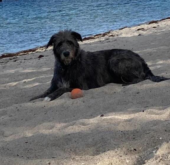 Schönewohnung Mit Eigenem Gsrten Und Eingang