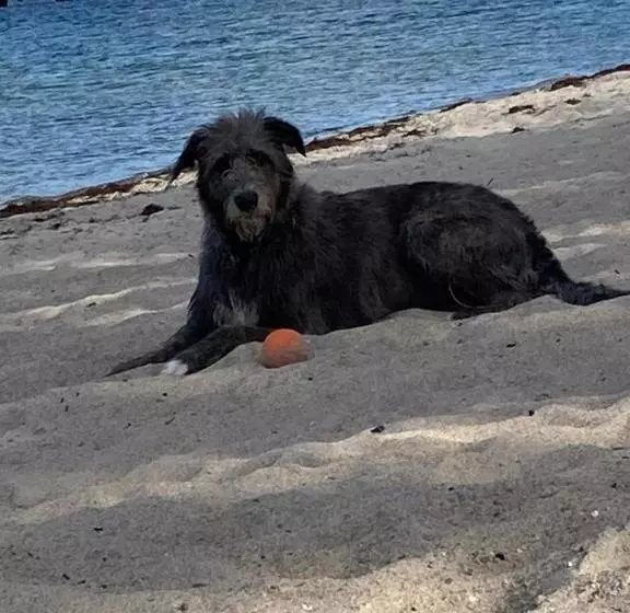 Schönewohnung Mit Eigenem Gsrten Und Eingang