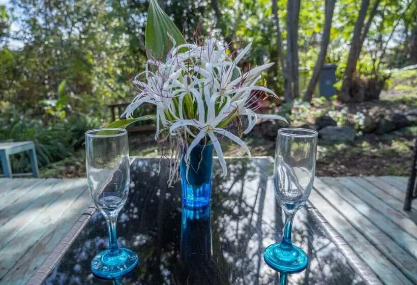 Uka O Te Ra´a Cabaña Full Equipada