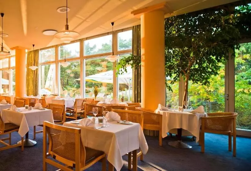 Baltic Zinnowitz   Hotel Mit Meerwasserpool Und Thermalbad