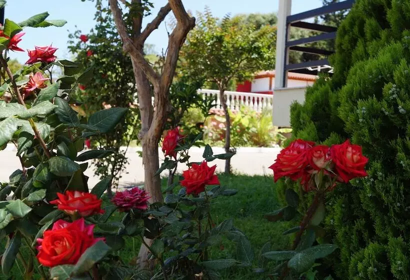 Hotel Brati  Arcoudi