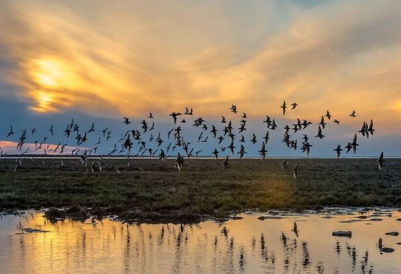 Finlandia Hotel Airport Oulu
