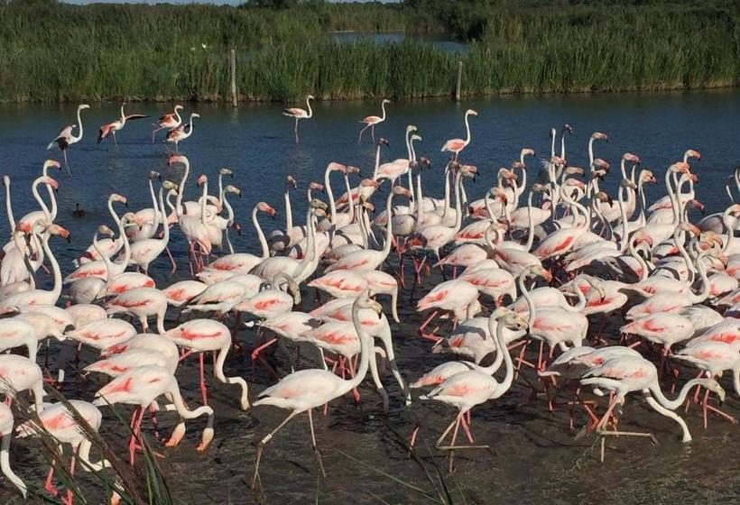 هتل Mas Des Salicornes