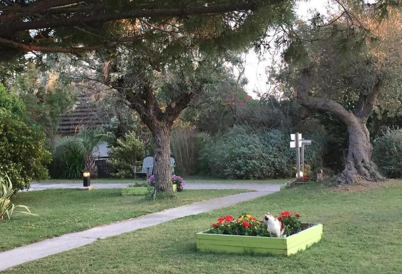 هتل Mas Des Salicornes