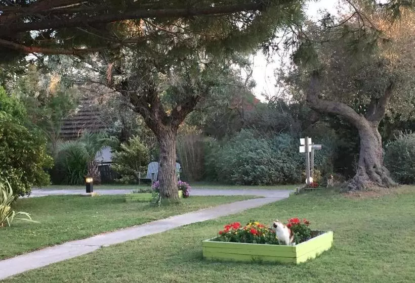 Hotell Mas Des Salicornes