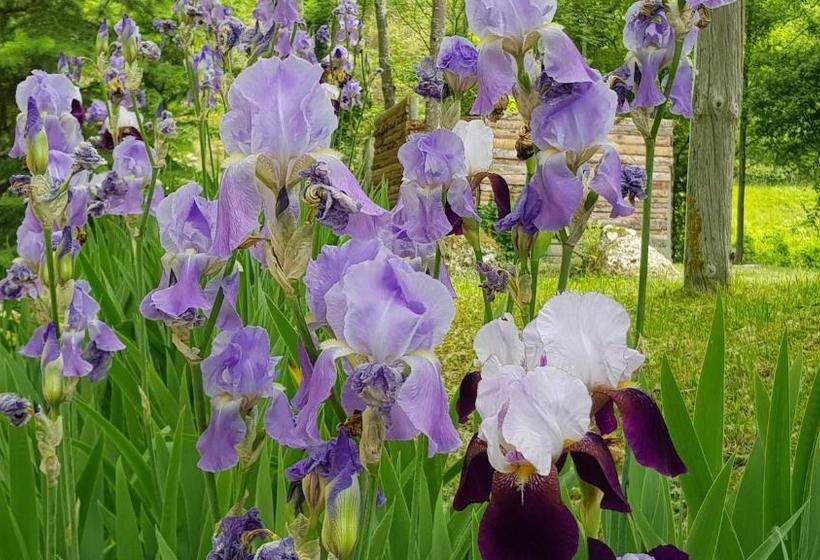 Hotel Le Moulin De La Pipe