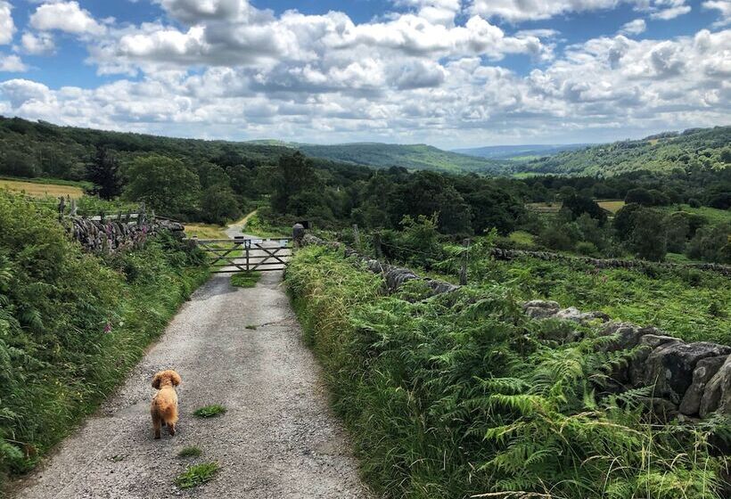 בית מלון כפרי Millstone Country Inn