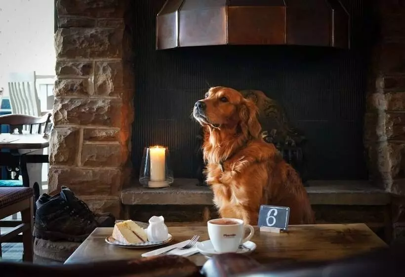 Отель Millstone Country Inn