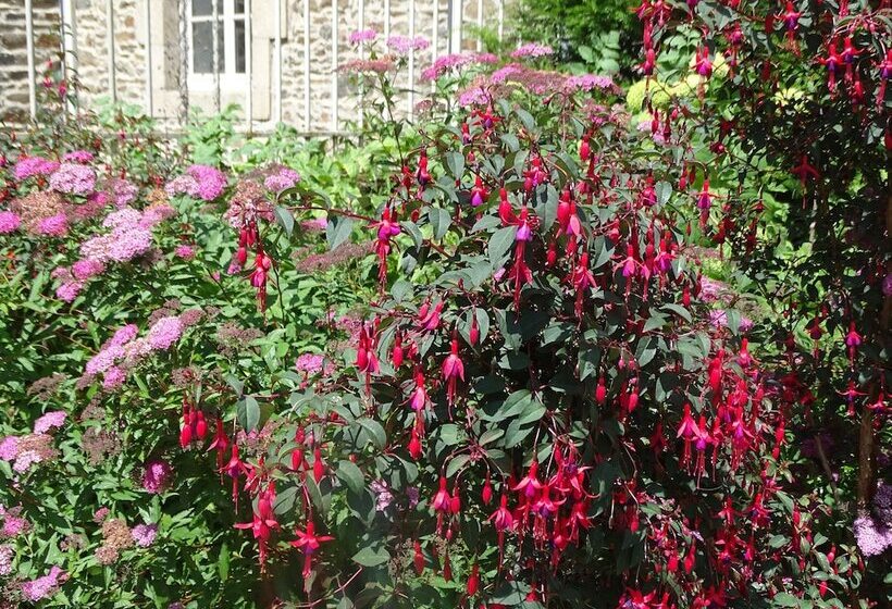 Отель Hôtel Ambroise