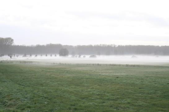 酒店 Tarnewitzer Hof