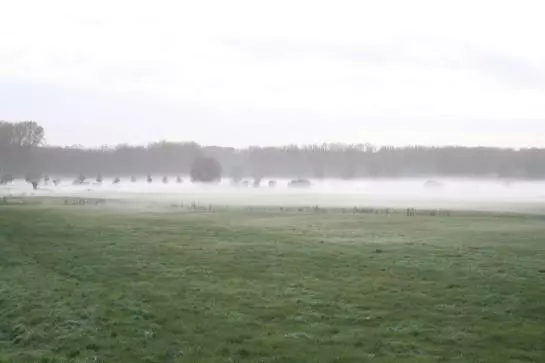 酒店 Tarnewitzer Hof