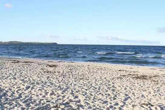 酒店 Tarnewitzer Hof