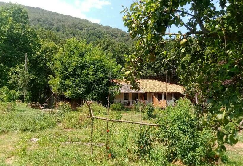 Charming Cottage In The Heart Of The Ribera Sacra