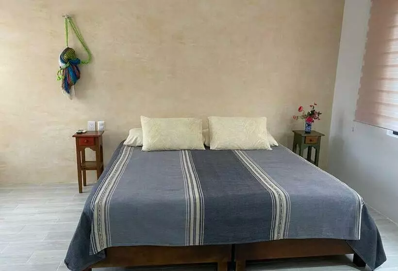 Complete And Spacious Apartment