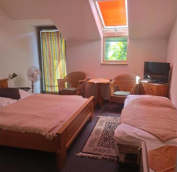 ユースホステル Penzión Malý Dvor