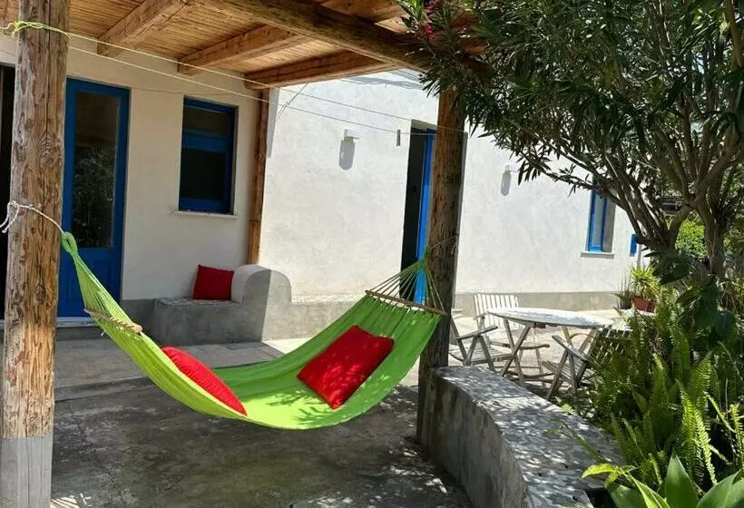 Casaammari
