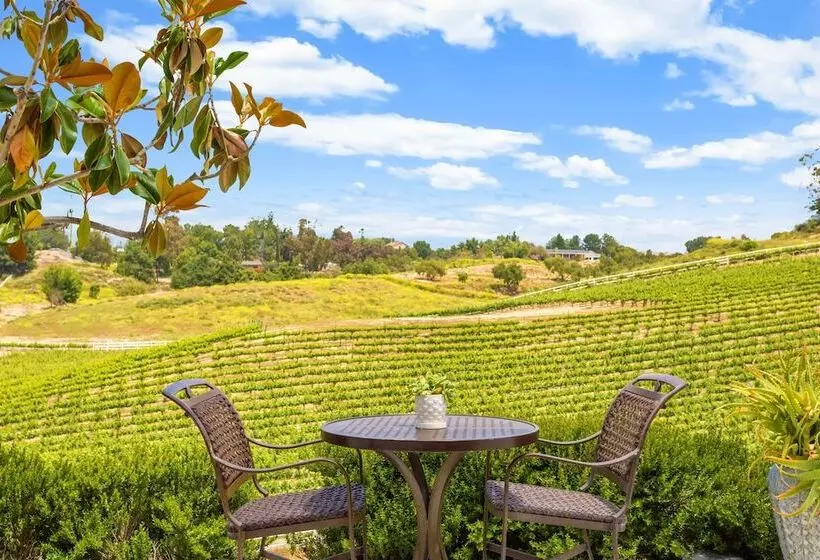 ホテル Gaia Inn & Spa Adult Only Temecula Wine Country