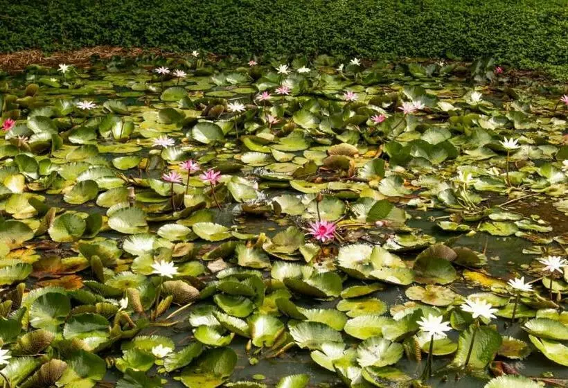 Jardin Villa