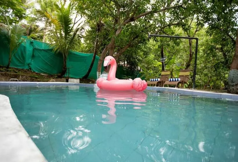 Jardin Villa