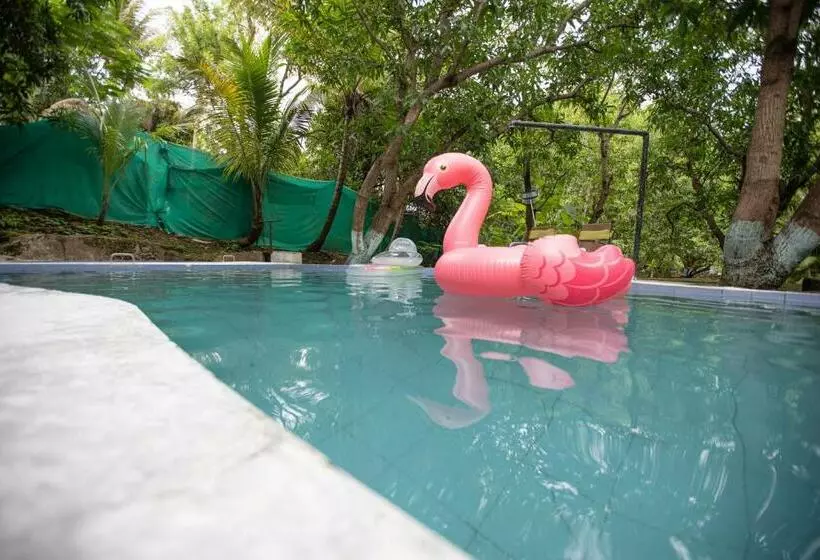 Jardin Villa