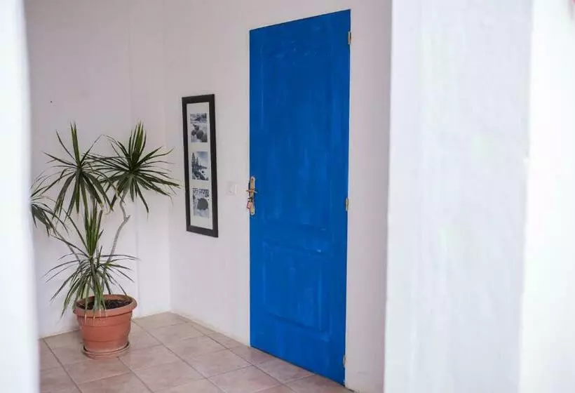 Zarah’s Place “ Ocean”