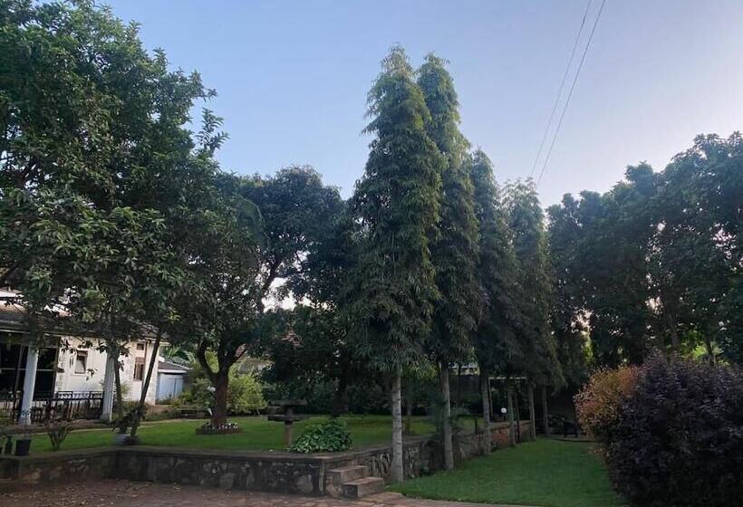 تختخواب و صبحانه Aivilo Home