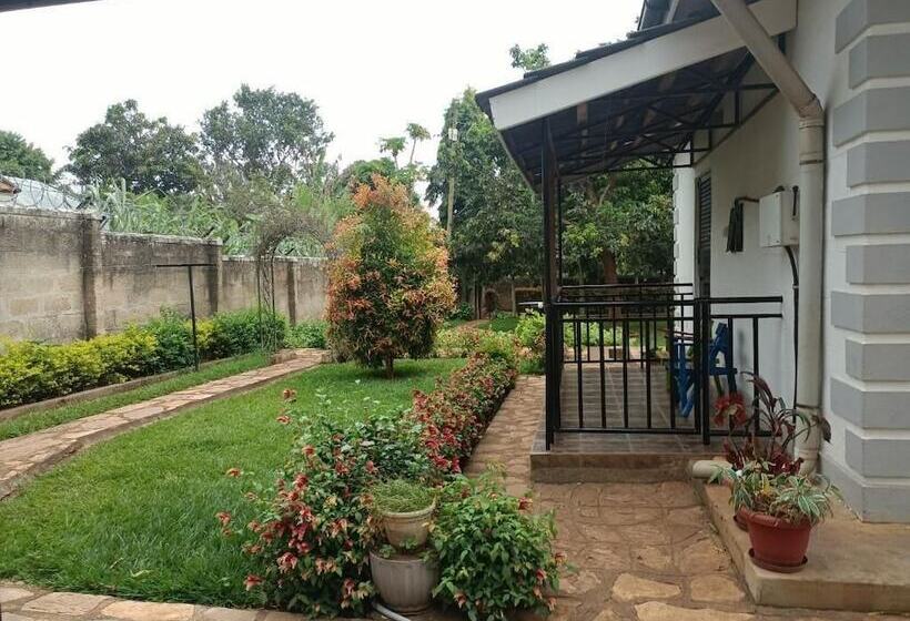 تختخواب و صبحانه Aivilo Home