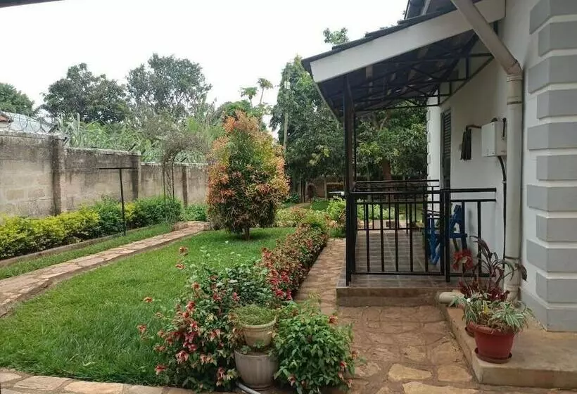 تختخواب و صبحانه Aivilo Home