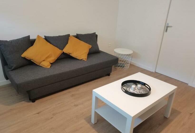 Belle Maison 12p 6 Couchages Tours Centre Avec Jardin