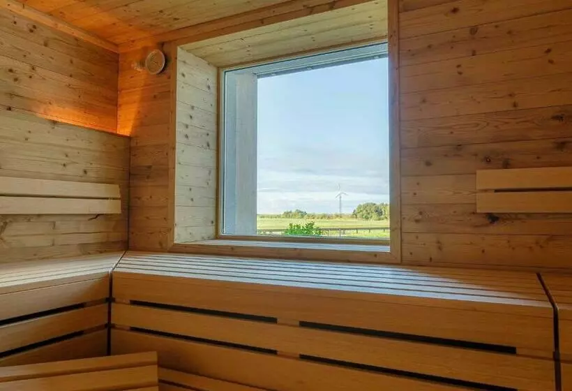 Boddensonne In Der Alten Seefahrtschule