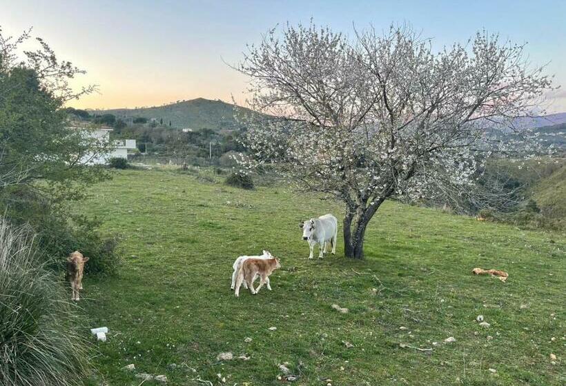 Casa Adele 1 Per Una Vacanza In Semplicità E Relax In Prossimità Di Sperlonga