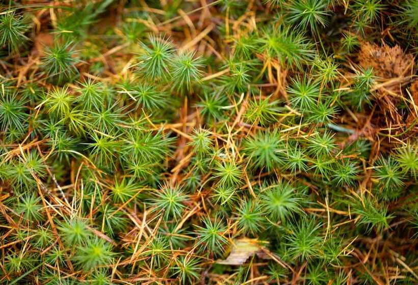 Ac Hotel By Marriott Inverness