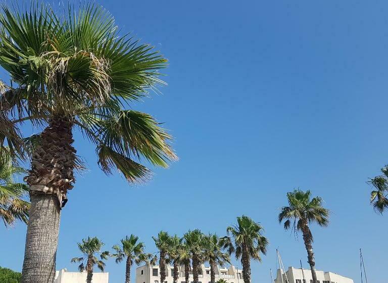 Magnifique 2 Pièces Vue Port Et Mer