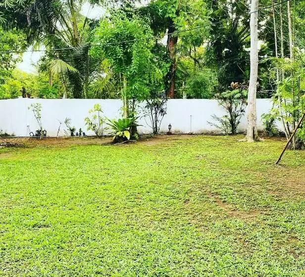 پانسیون New Serenity Inn