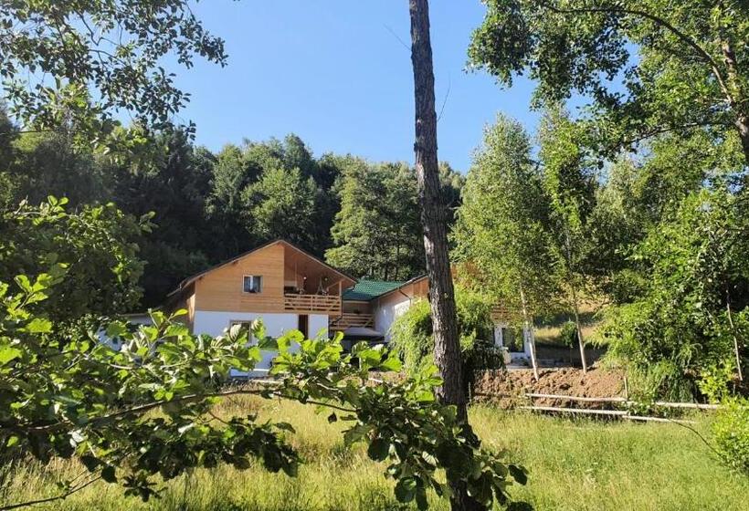 Agropensiunea Nemira