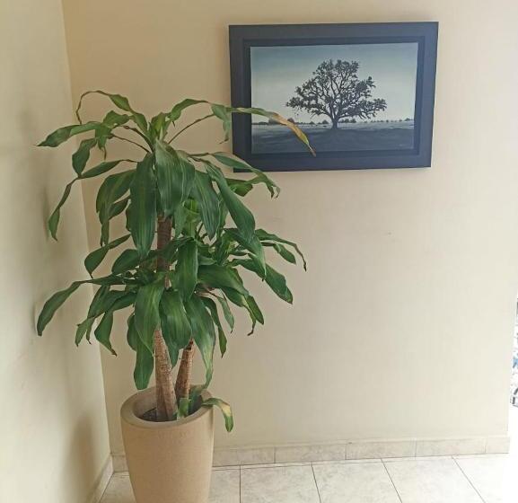 בית מלון כפרי El Sueño De J.e