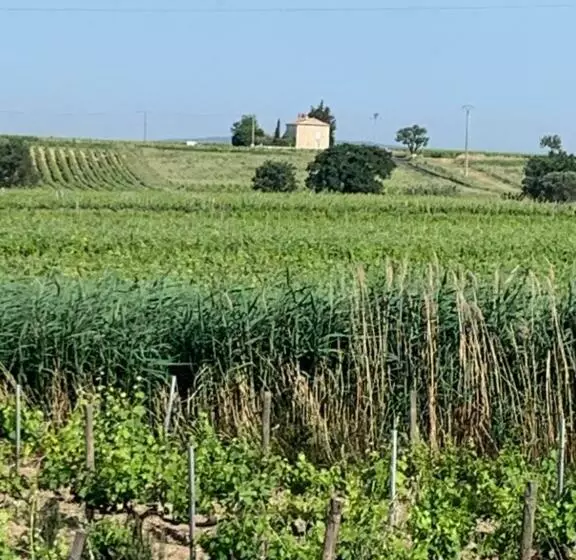 L’epicure „grenache“ Im Herzen Des Weines