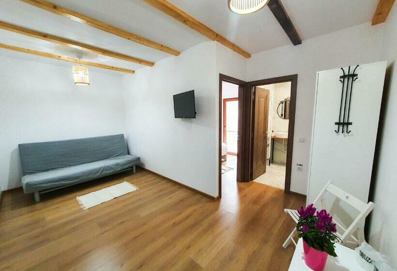 بنسيون Domeniul Acasa In Vadu Izei Maramu