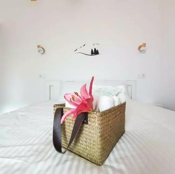 Majatalo Domeniul Acasa In Vadu Izei Maramu