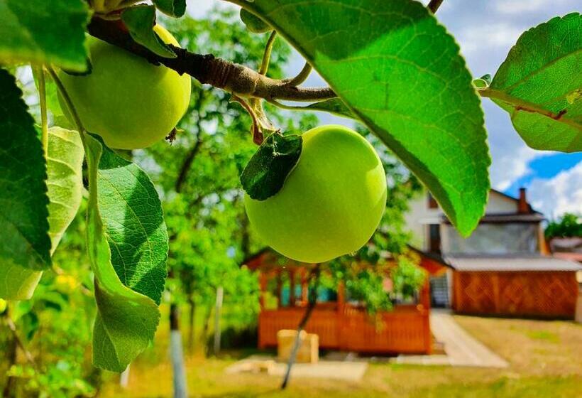 بنسيون Domeniul Acasa In Vadu Izei Maramu