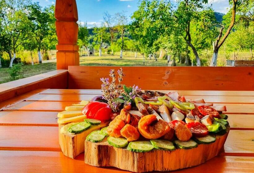 بنسيون Domeniul Acasa In Vadu Izei Maramu