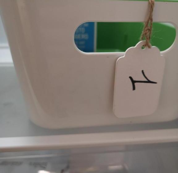 Пансион Le Case Camera Doppia Con Bagno Privato, Uso Di Cucina E Terrazza