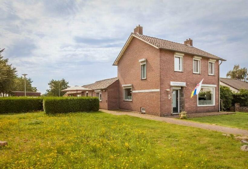 B&b Koningsbosch